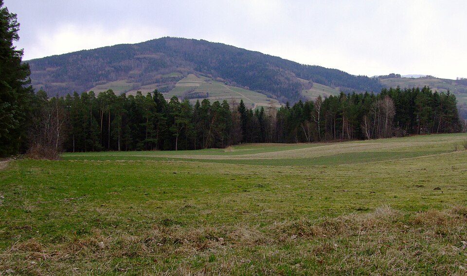 Kiczora