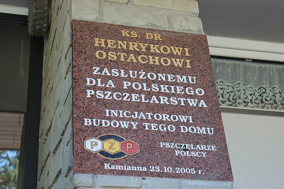 Mochnaczka Wyżna - Ptaszkowa
