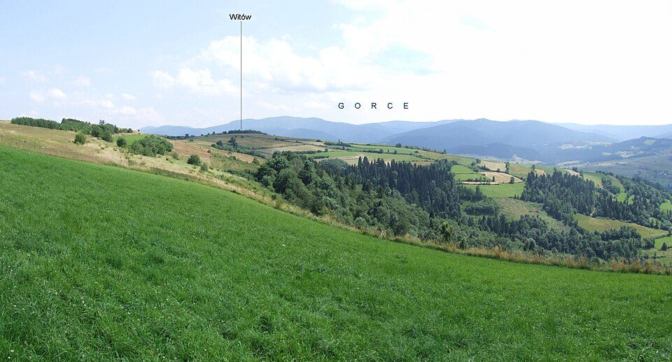 Witów