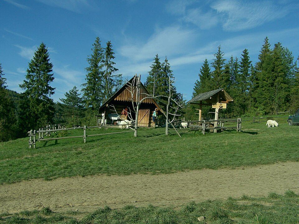 Piwniczna-Zdrój - Jaworki