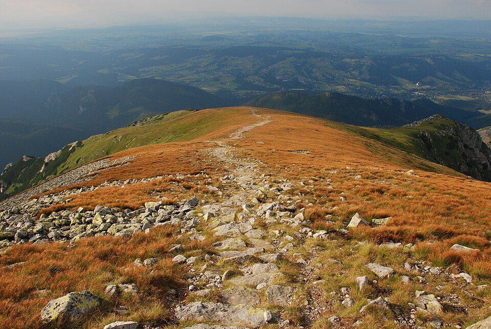 Przełęcz w Grzybowcu - Polana Strążyska