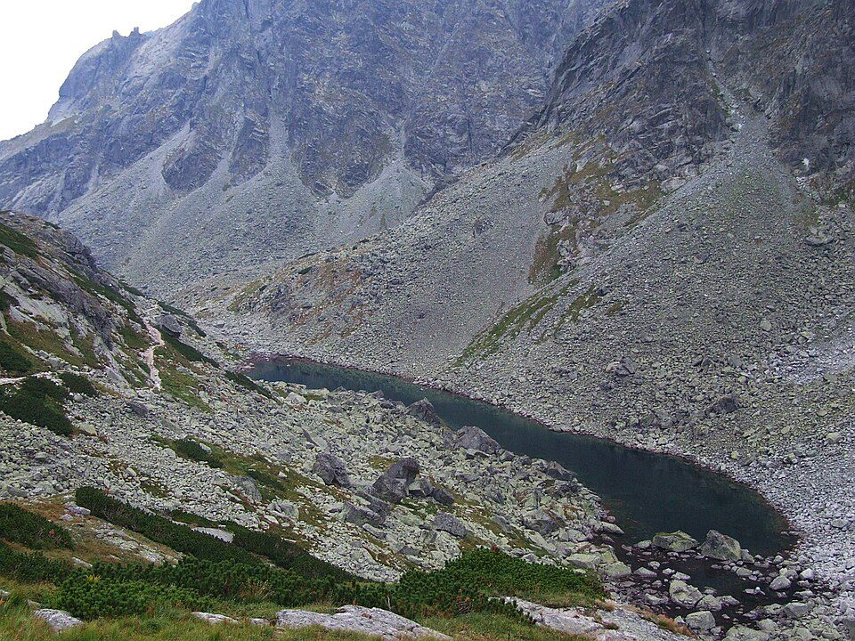 Długi Staw Staroleśny