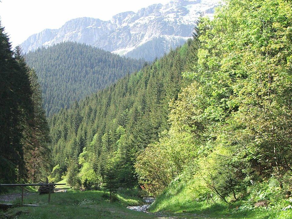 Kiry - Siwa Polana