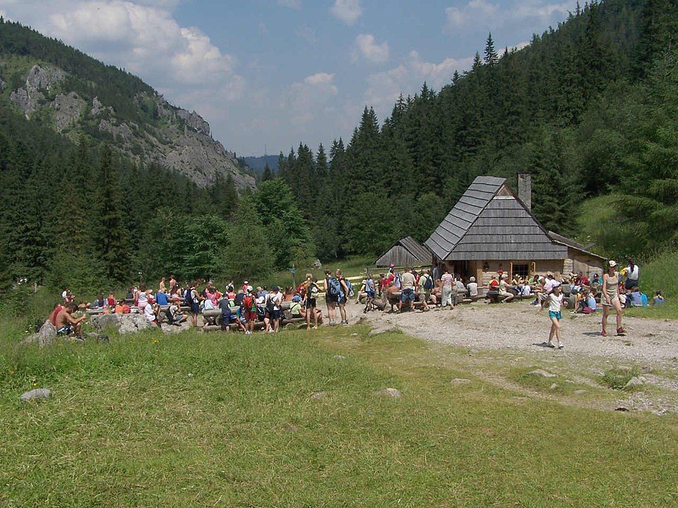 Potok zza Bramki - Dolina za Bramką