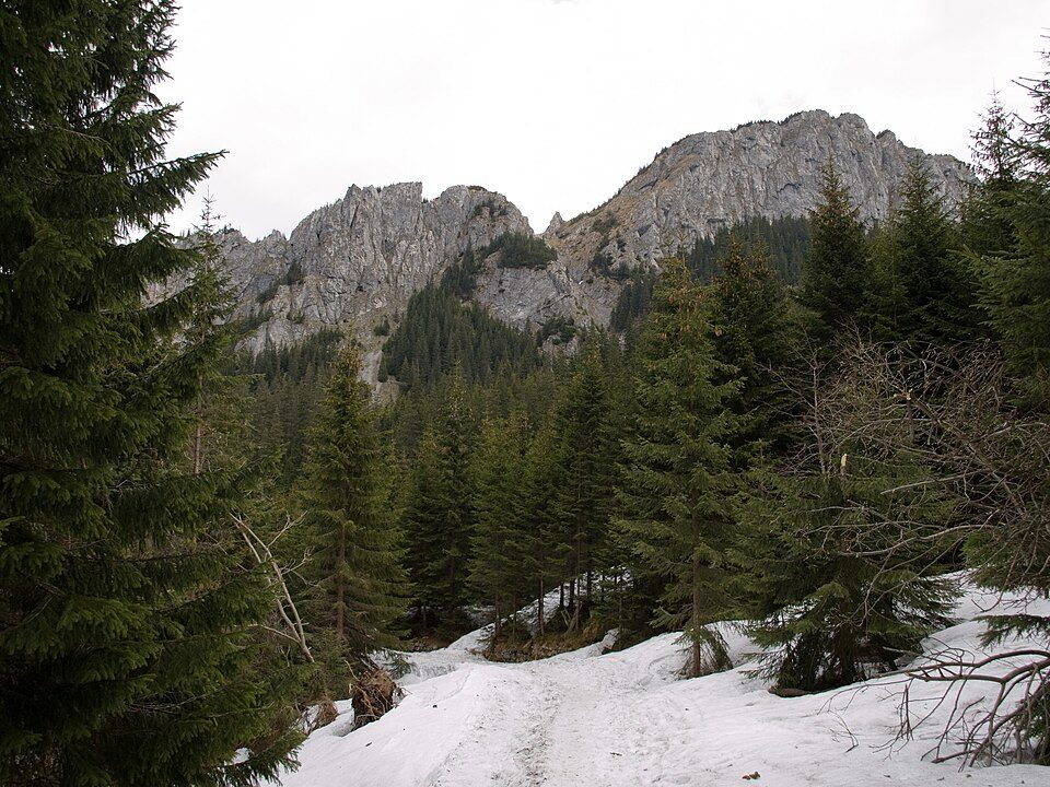 Klasztor Albertynek - Klasztor Albertynów