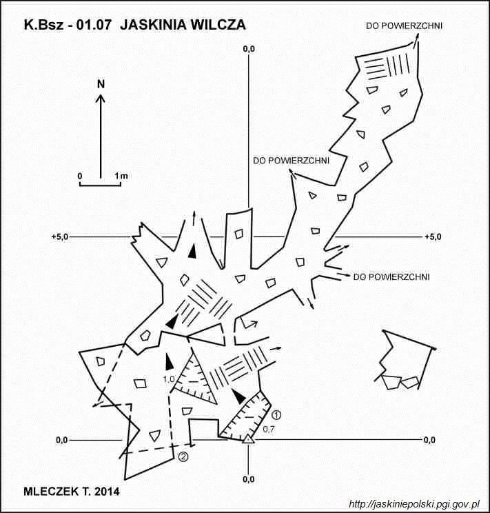 Jaskinia Wilcza (Bieszczady)