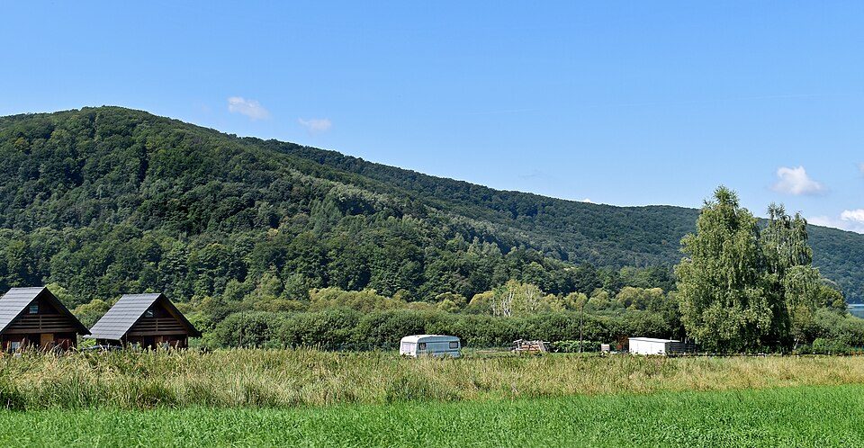 Rezerwat przyrody Nad Jeziorem Myczkowieckim