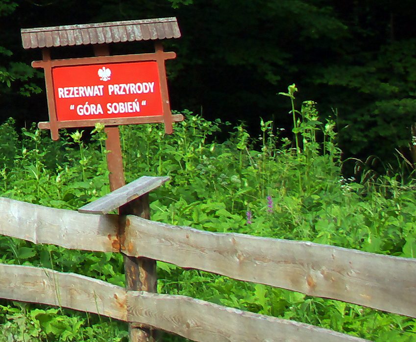 Rezerwat przyrody Góra Sobień