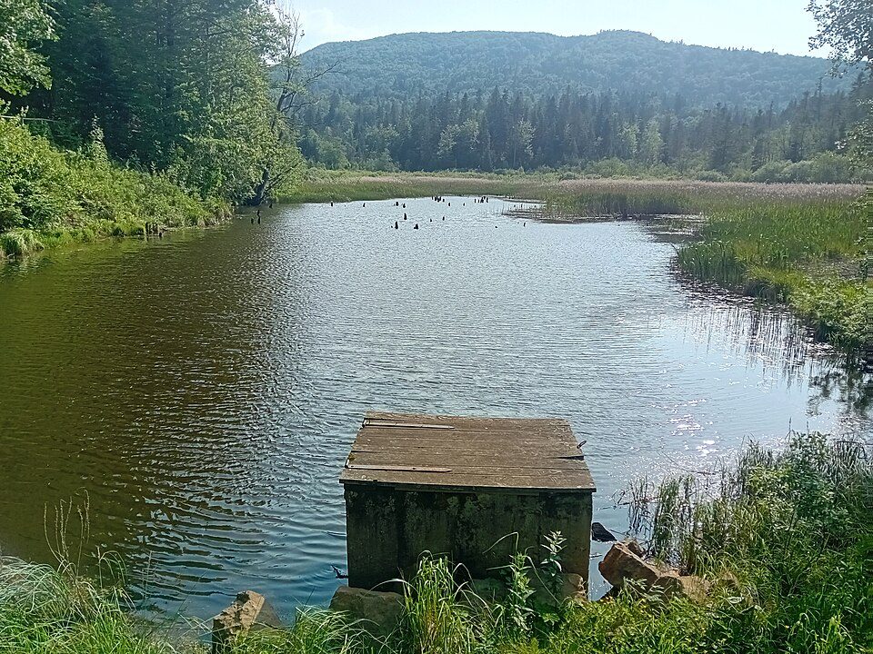 Ścieżka przyrodnicza na Przełęcz Żebrak