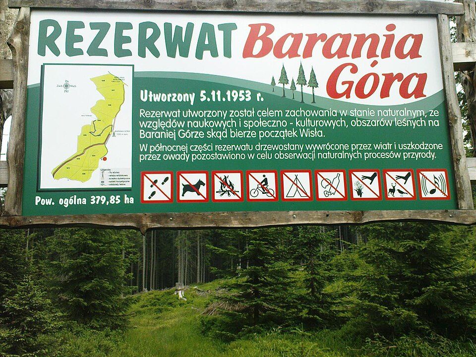 Kamesznica - Barania Góra