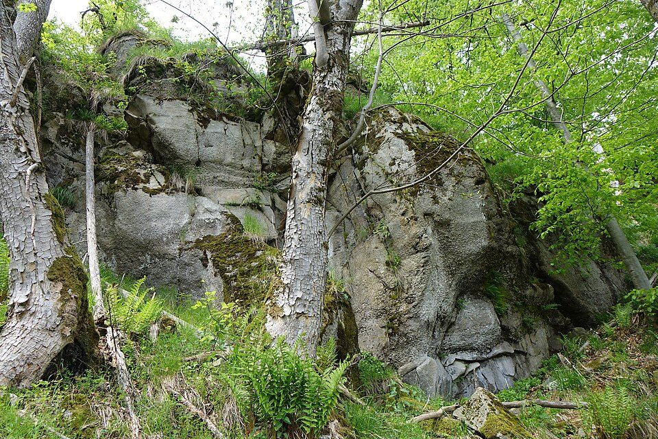 Radziechowy - Hala Radziechowska