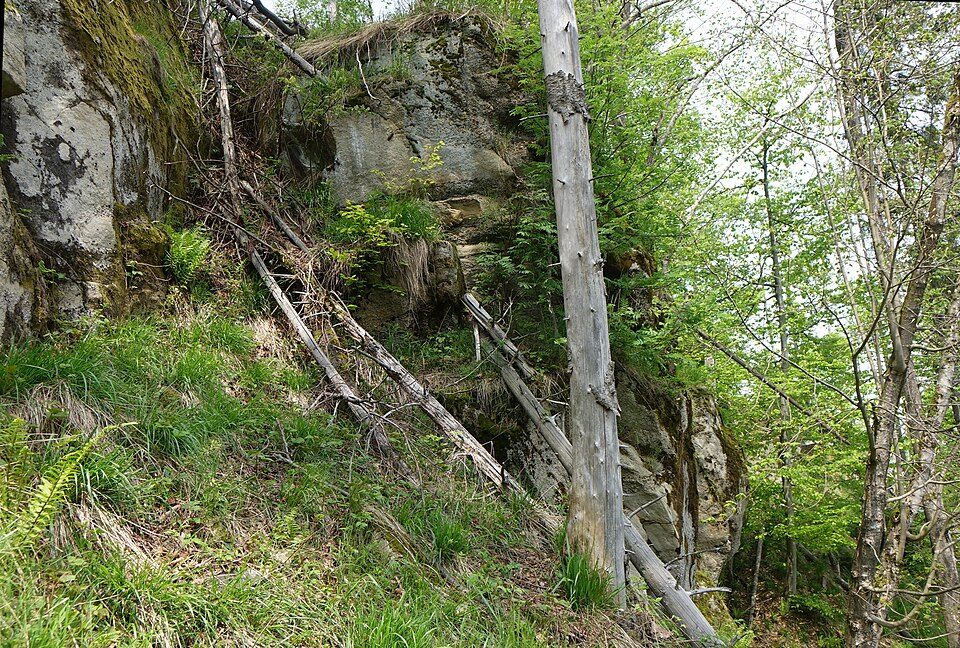 Radziechowy - Hala Radziechowska