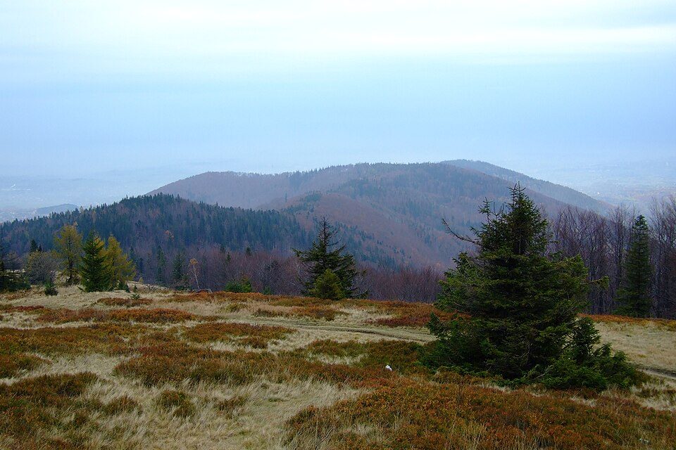 Wisła Nowa Osada - Wierch Gościejów (Sporówka)