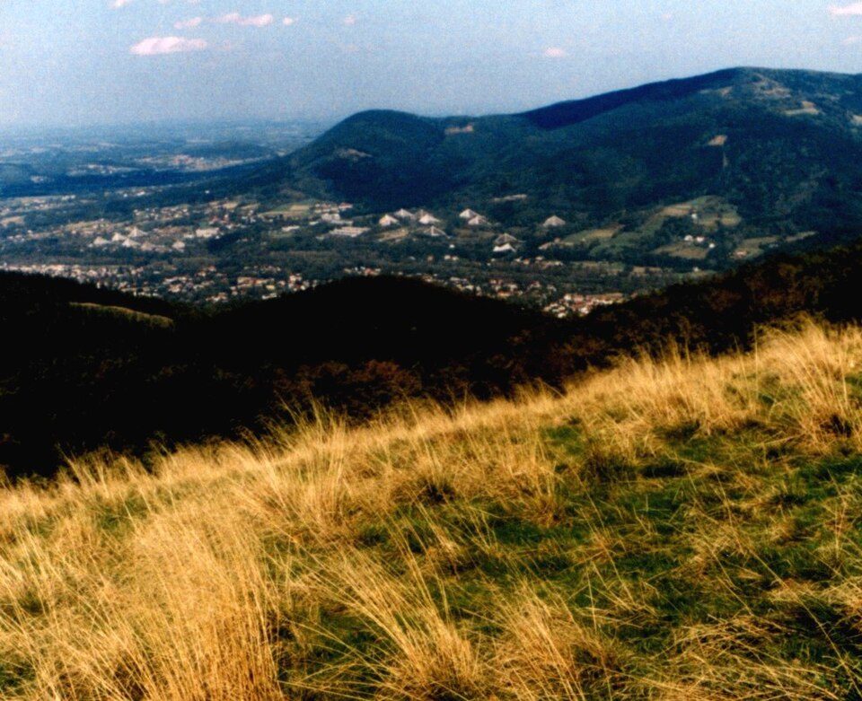 Wisła Nowa Osada - Wierch Gościejów (Sporówka)