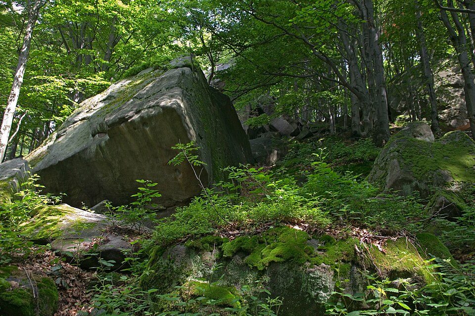 Rezerwat przyrody Kornuty