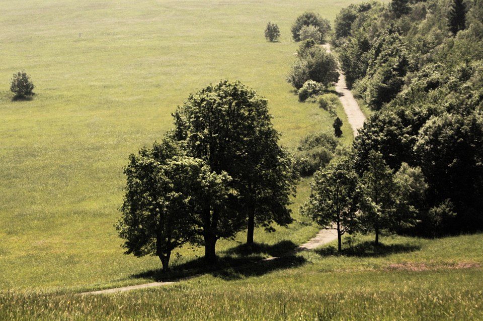 Bartne - Krempna