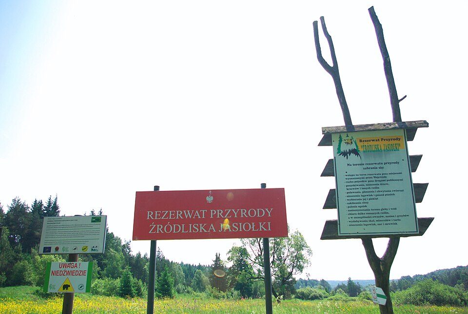 Rezerwat przyrody Źródliska Jasiołki