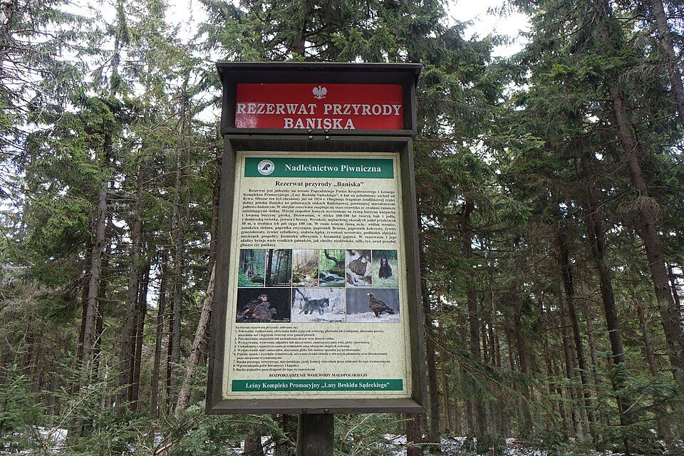 Szlak Rogasiowy (2)