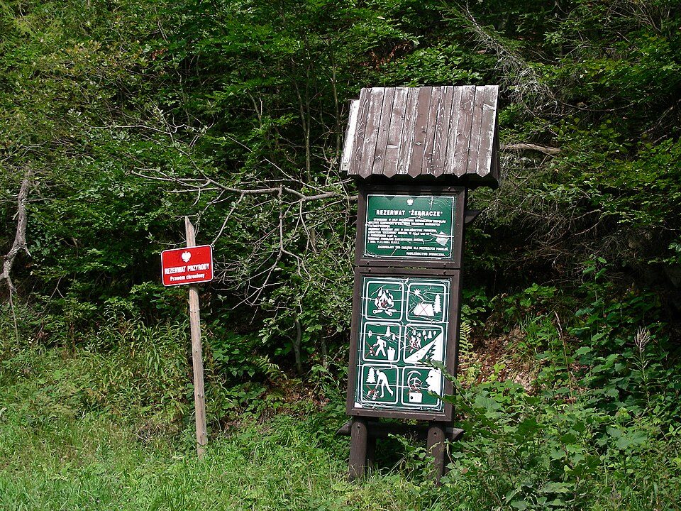 Rezerwat przyrody Żebracze