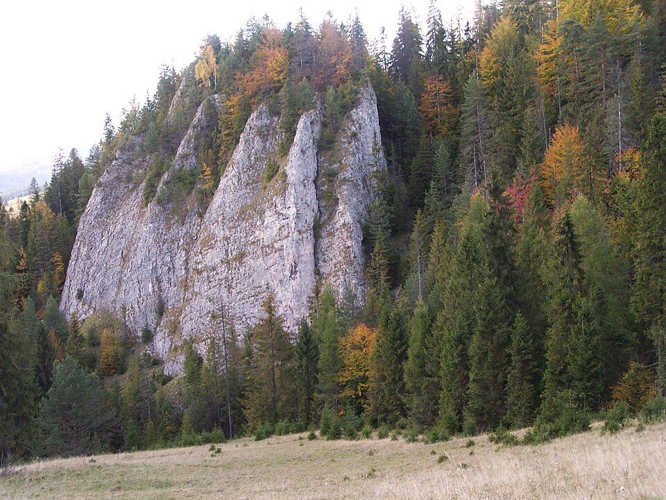 Jaworki – przełęcz Rozdziela