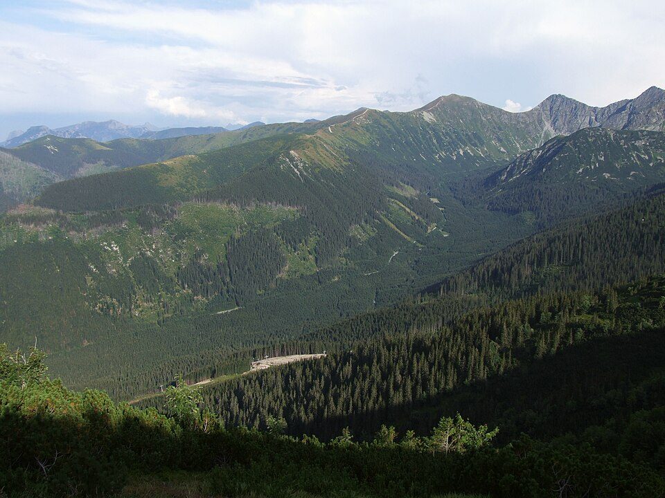 Dolina Rohacka
