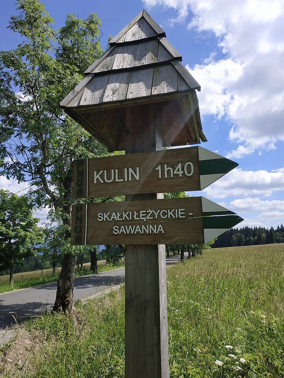 Zielony szlak dojściowy do ruin Fortu Karola