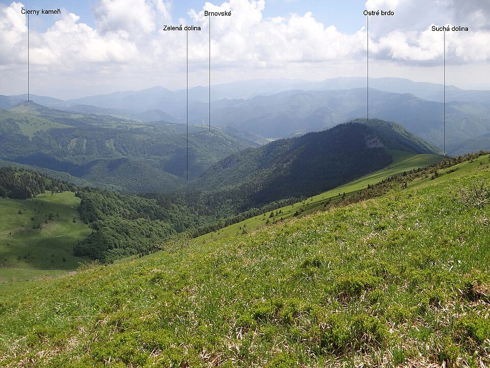 Zelená dolina (Veľká Fatra)
