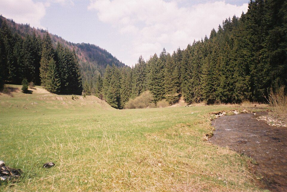 Dolina Ludrowska