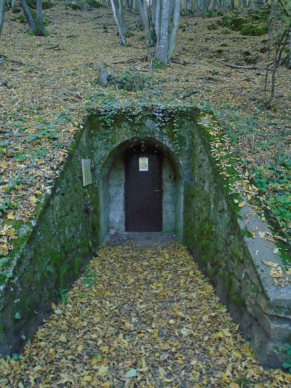 Vass Imre-barlang