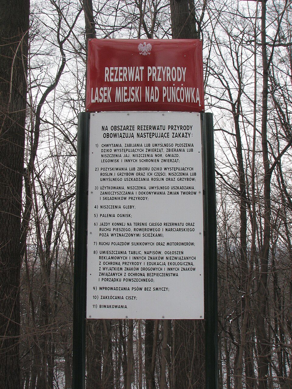 Rezerwat przyrody Lasek Miejski nad Puńcówką