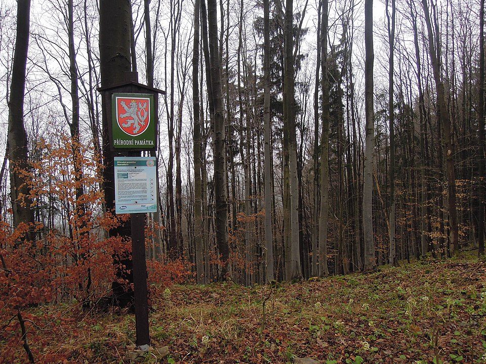 Smradlavá