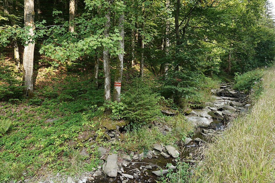 Rezerwat przyrody Poledňana