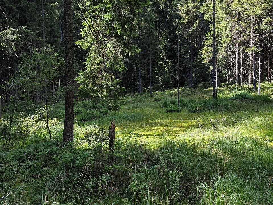 PR V Podolánkách