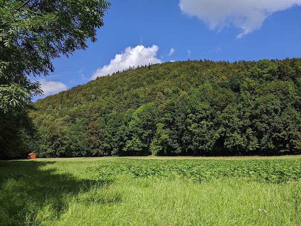 PR Kršle