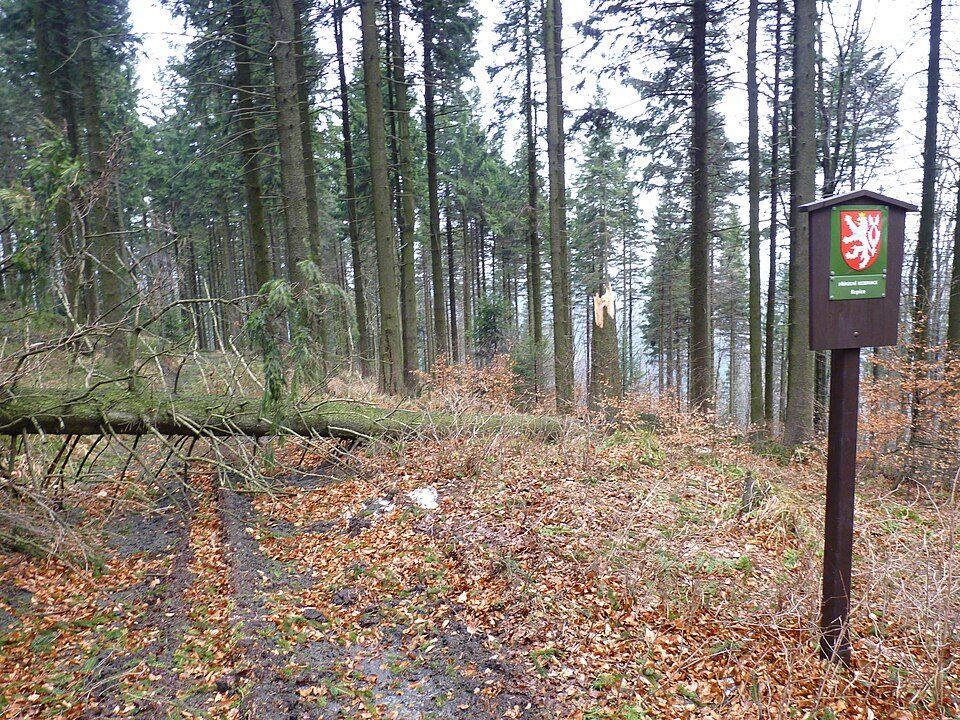 Rezerwat przyrody Ropice