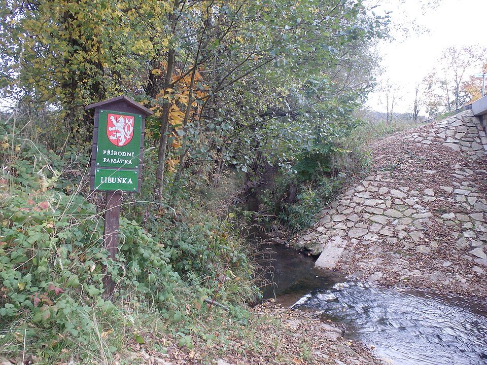 Libuňka (přírodní památka)