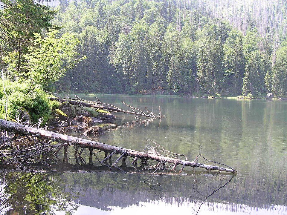 Goldsteig N16: Großer Falkenstein - Rachel