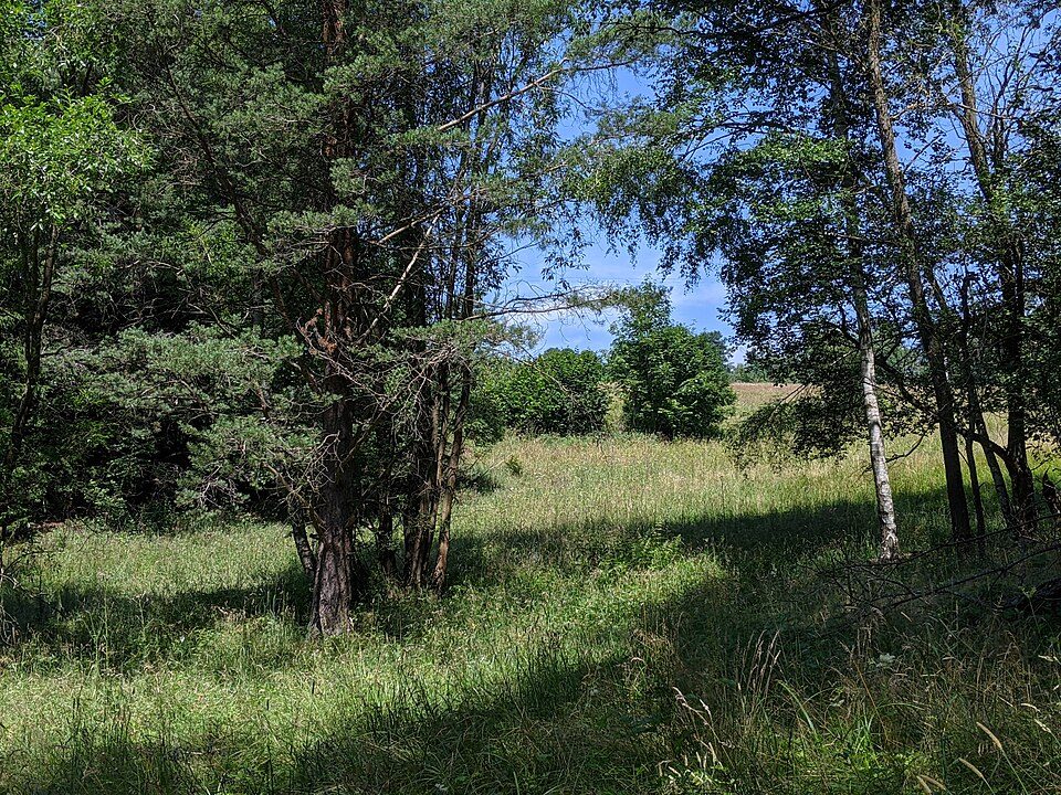 Zlatá stezka Černý Kříž - Prachatice