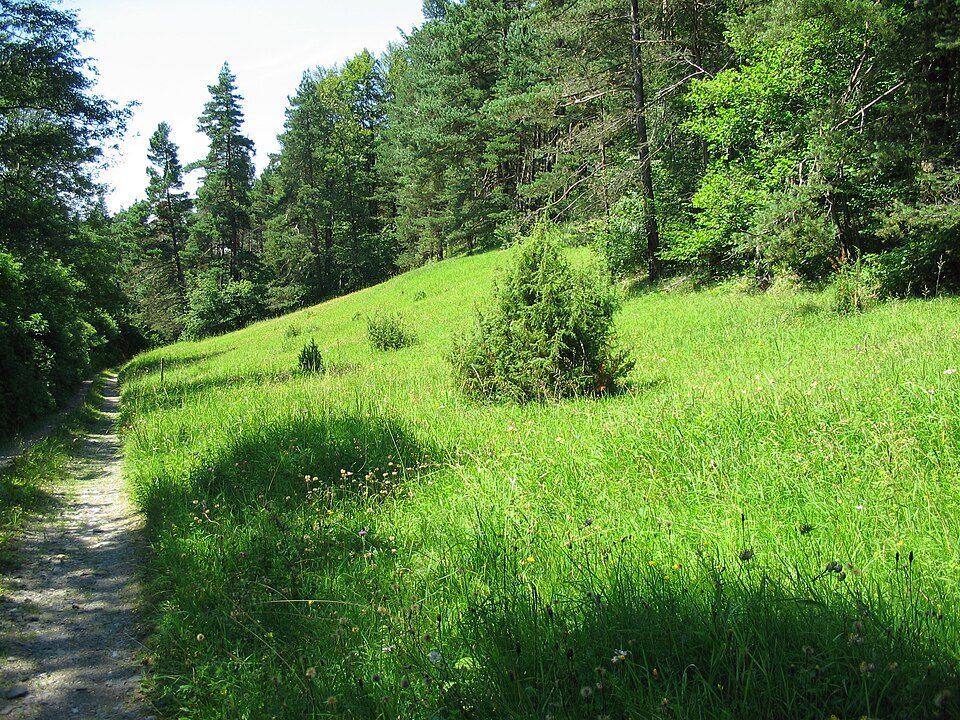 Milčice