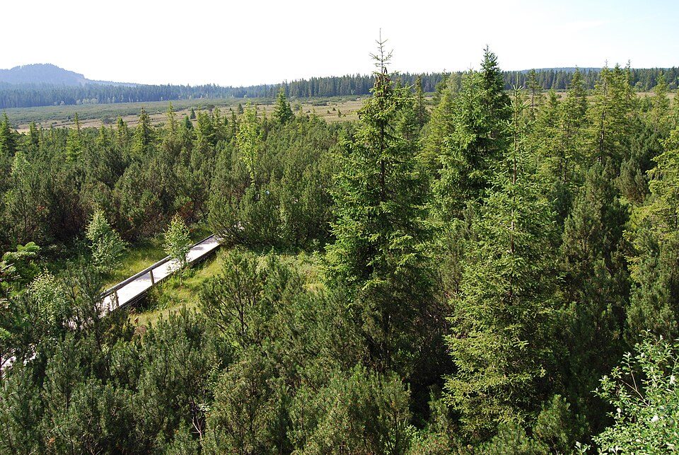 NS Jelení