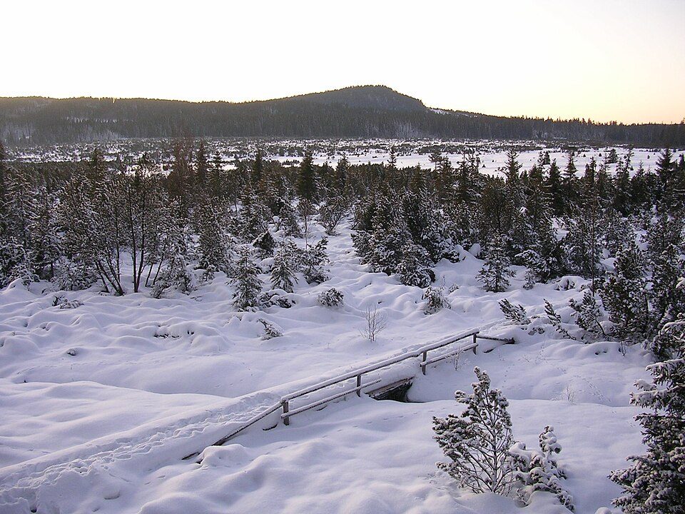 NS Jelení