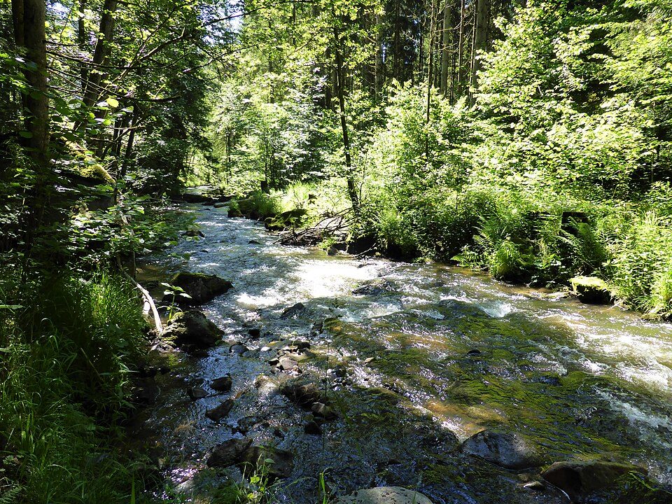 Mitternacher Ohe