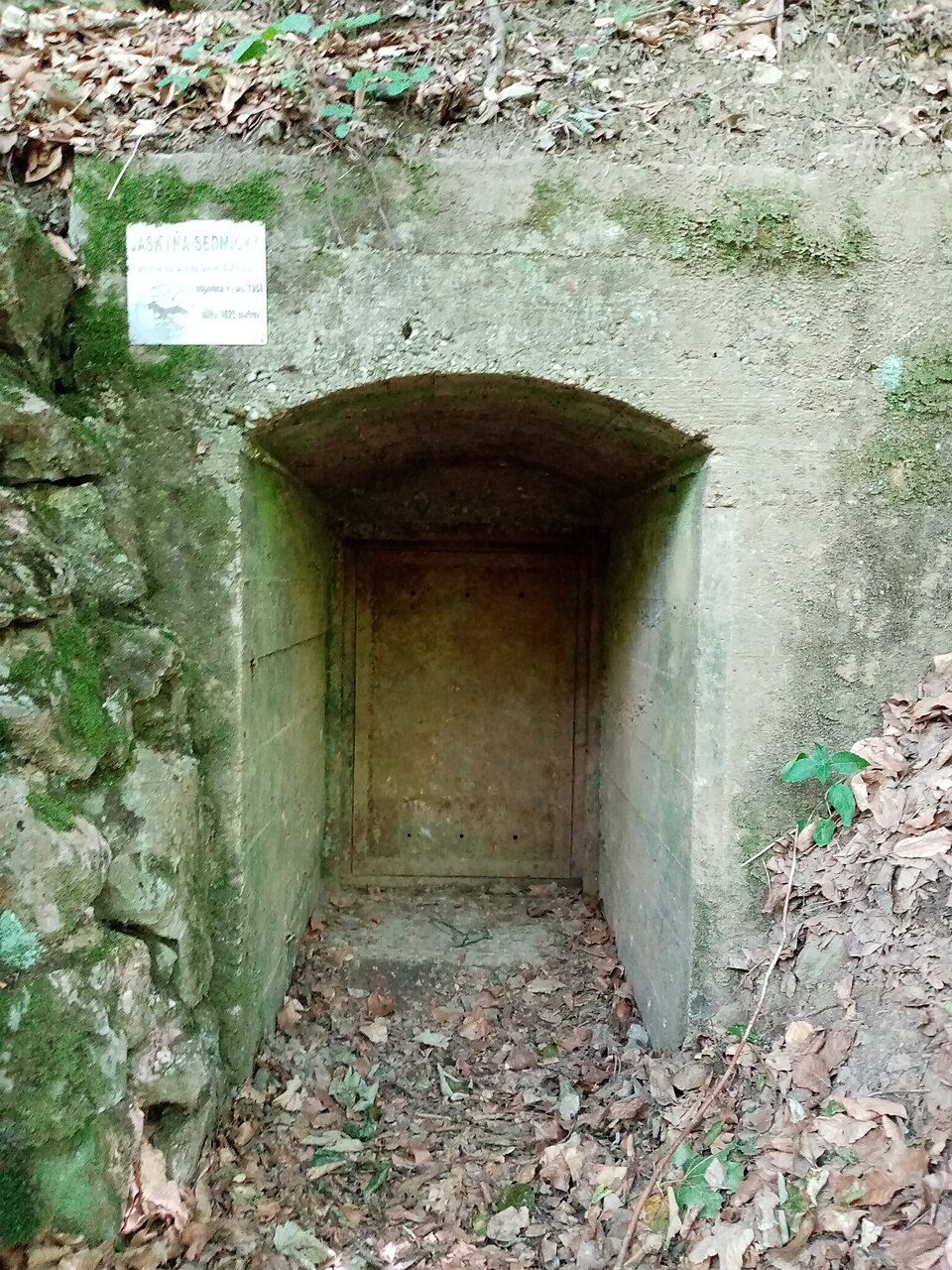 Sedmička