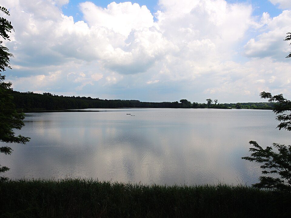 Stolařka