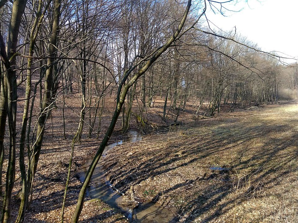 Bindárka