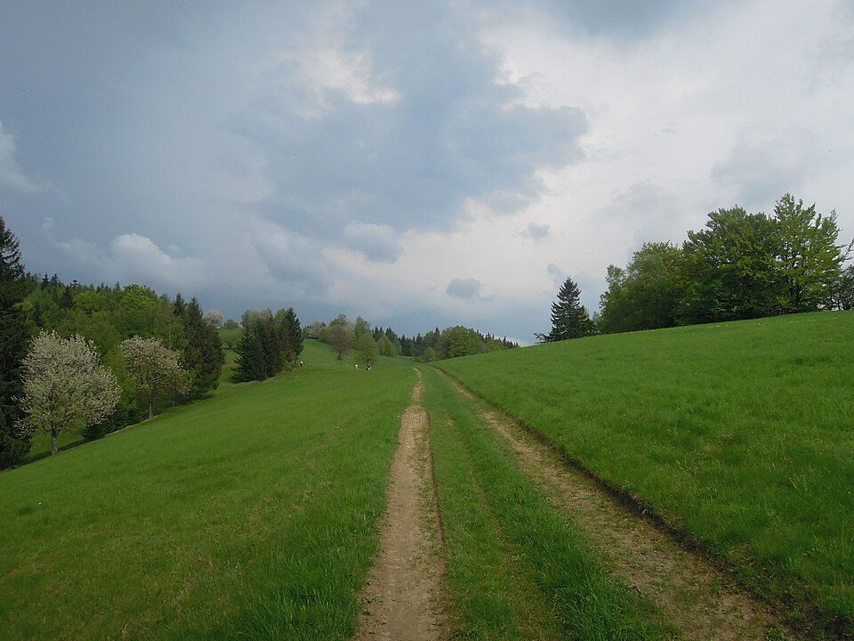 Rezerwat przyrody Galovské luký
