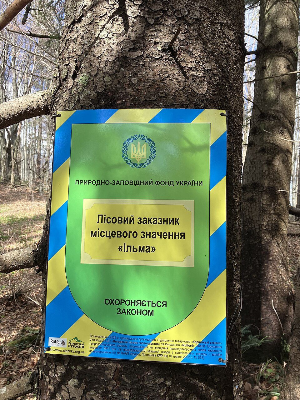Лісовий заказник місцевого значення «Ільма»