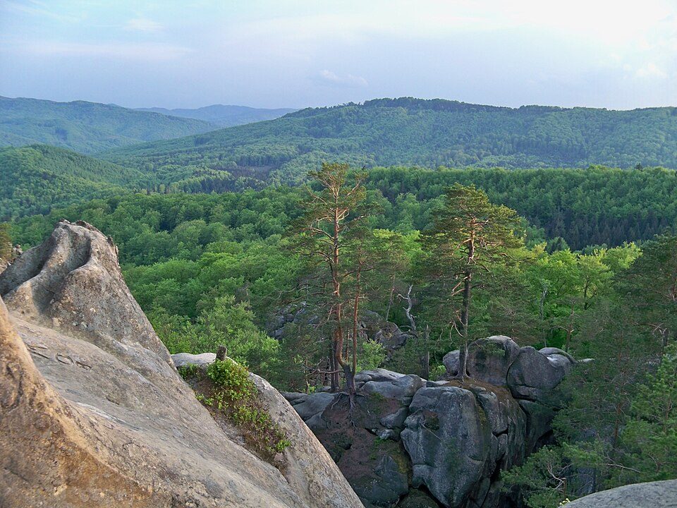Регіональний ландшафтний парк «Поляницький»