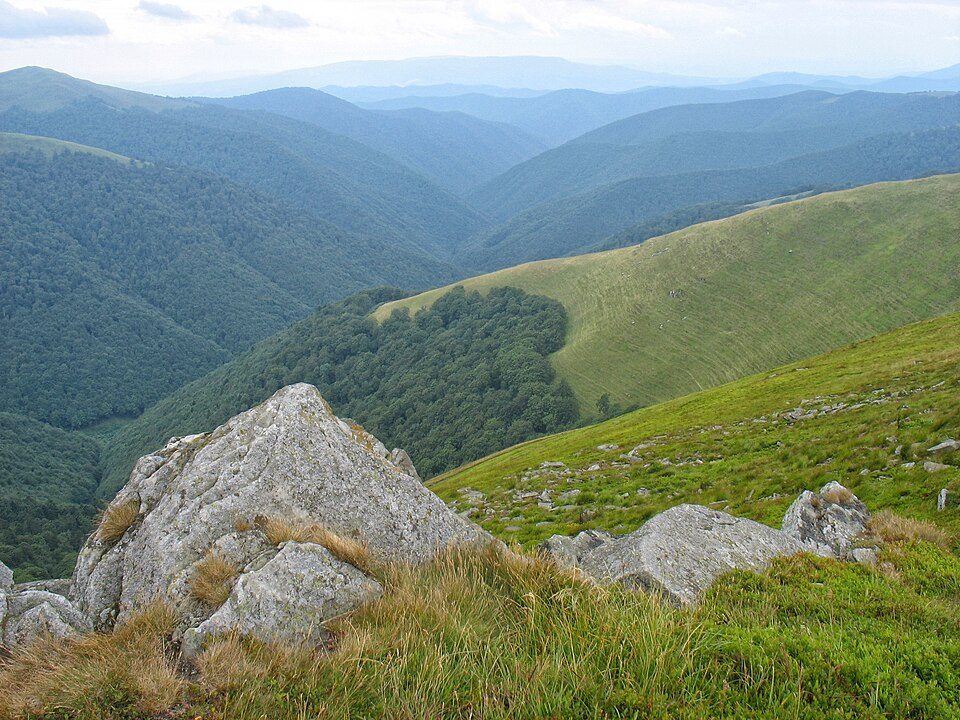 Потік Оса