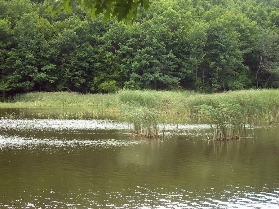 Park Narodowy „Zaczarowany Kraj”
